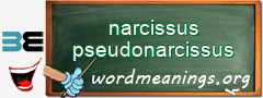WordMeaning blackboard for narcissus pseudonarcissus